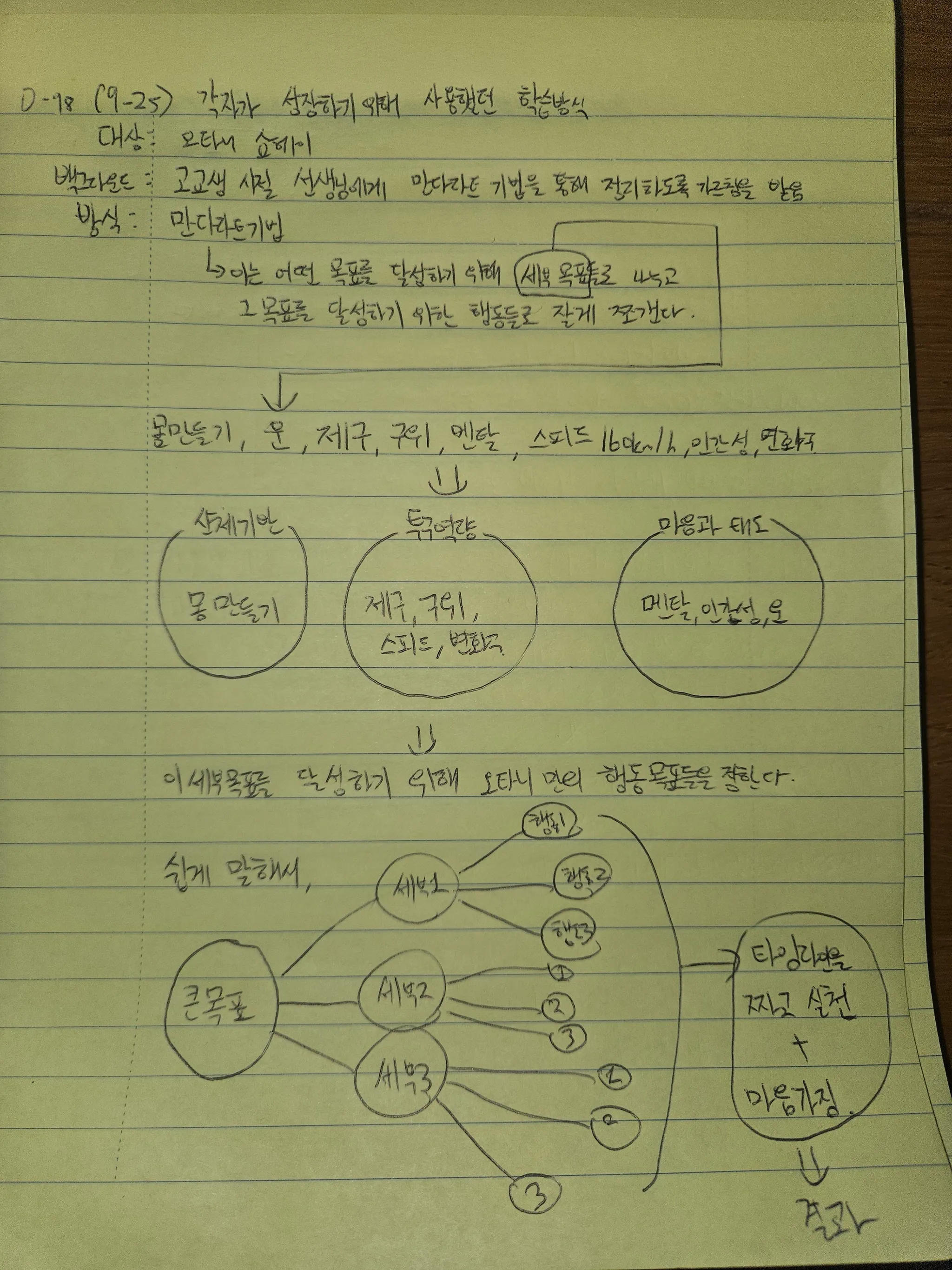 9월 25일 손필기 — 오타니 쇼헤이의 만다라트 기법