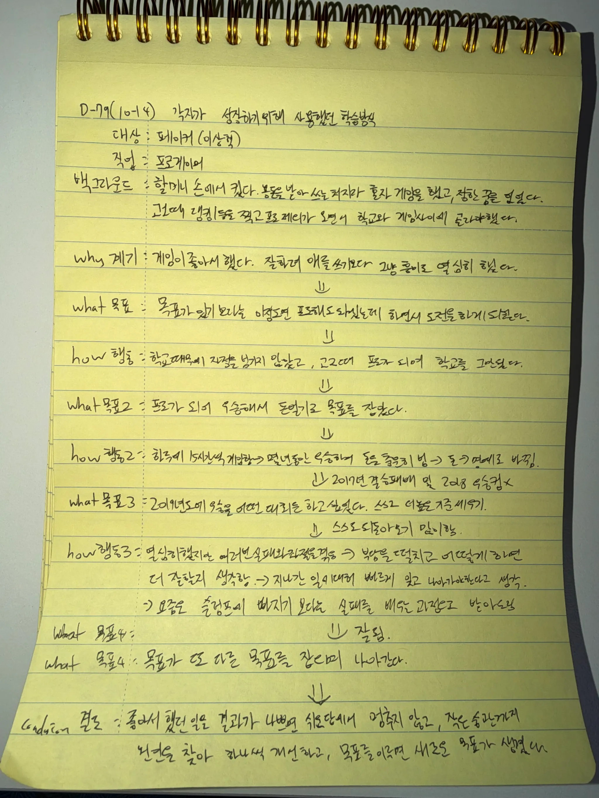 10월 14일 손필기 — 페이커의 학습방식
